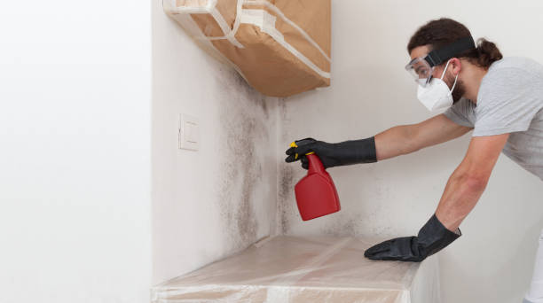 Professional Basement Mold Remediation technician working in East Rockaway, NY